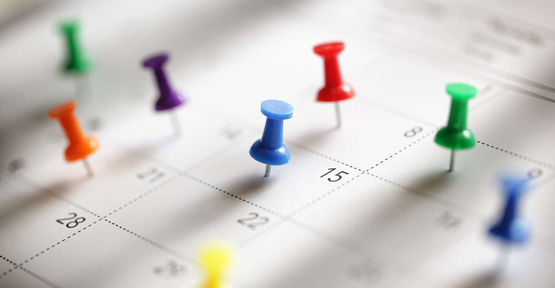 calendar with coloured drawing pins marking different dates