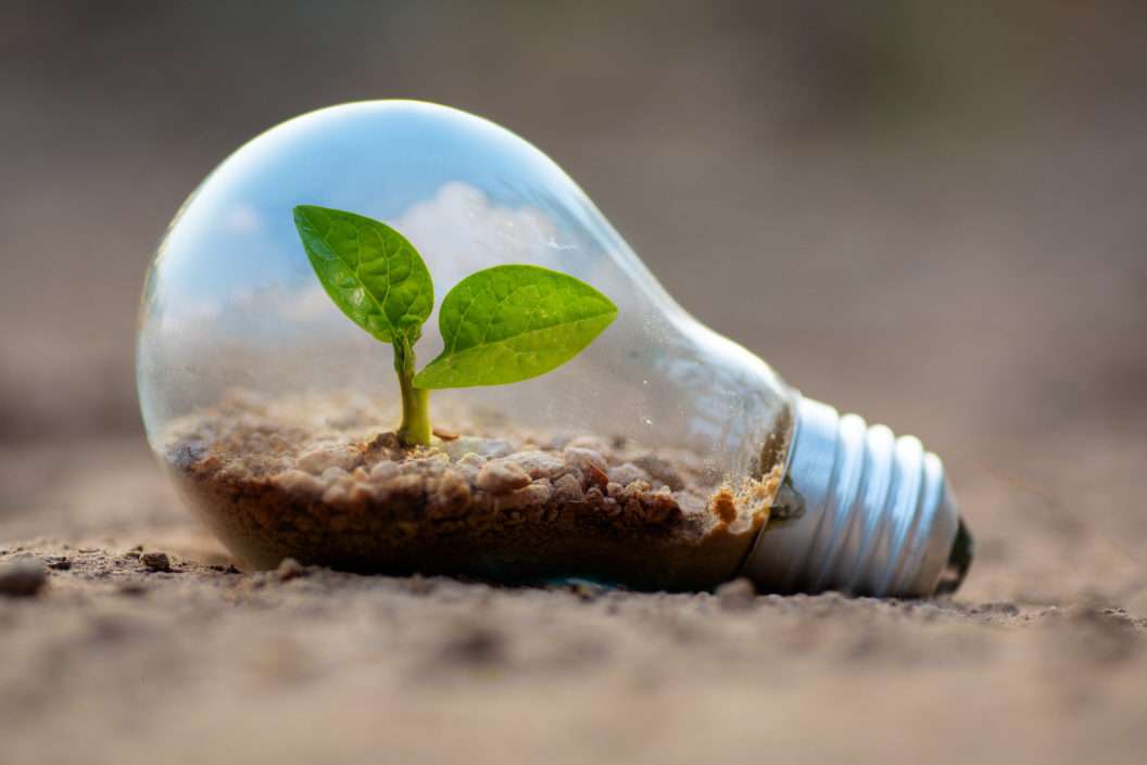 Intellectual Property Law