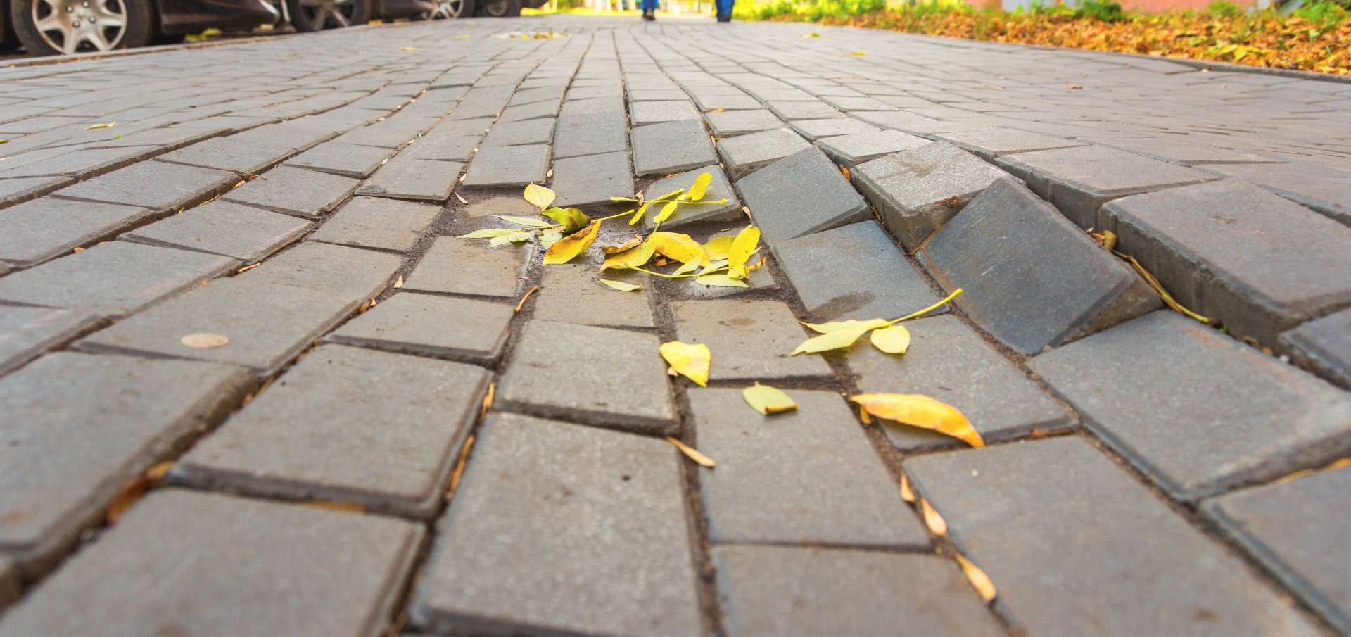 Broken brick road with leaves