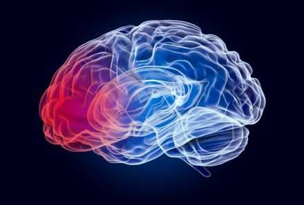 Specialists for Brain Injury Claims